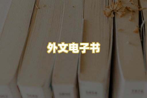 外文电子书